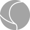 Rarity icon
